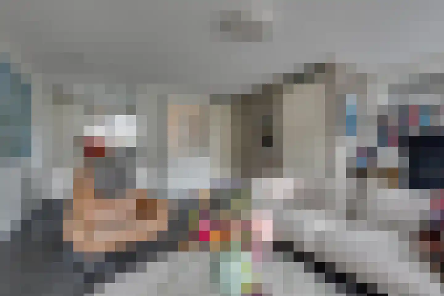 Emailleerstraat 26 Gaanderen thumbnail 7