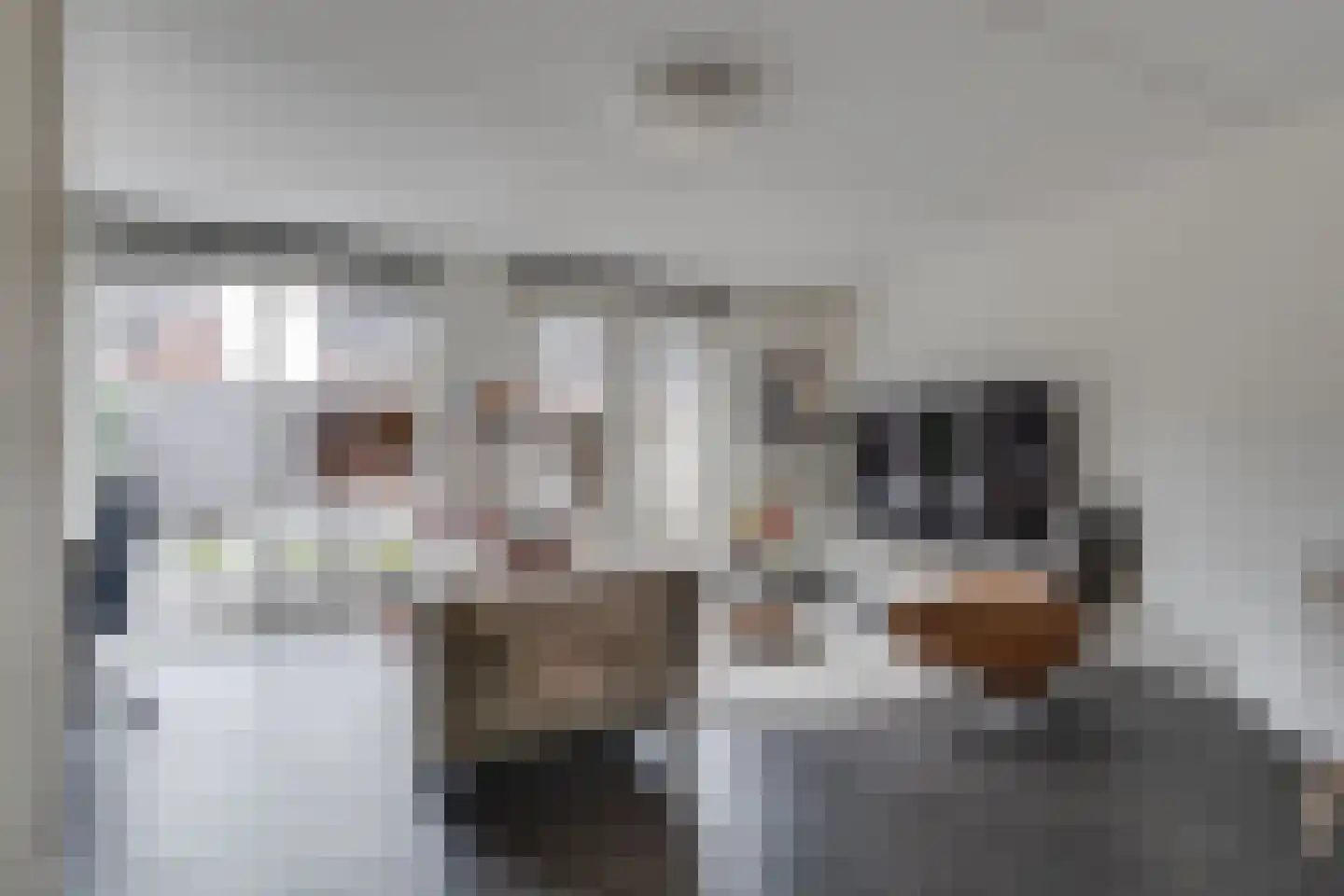 Emailleerstraat 26 Gaanderen thumbnail 8