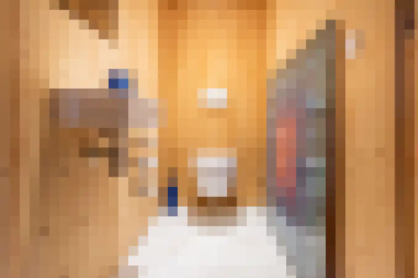 Emailleplein 15 Ulft thumbnail 14