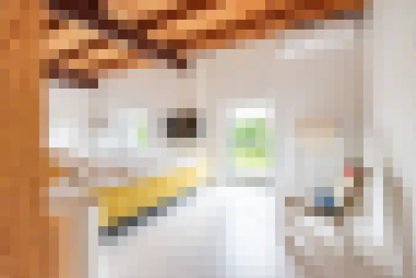 Emailleplein 15 Ulft thumbnail 38