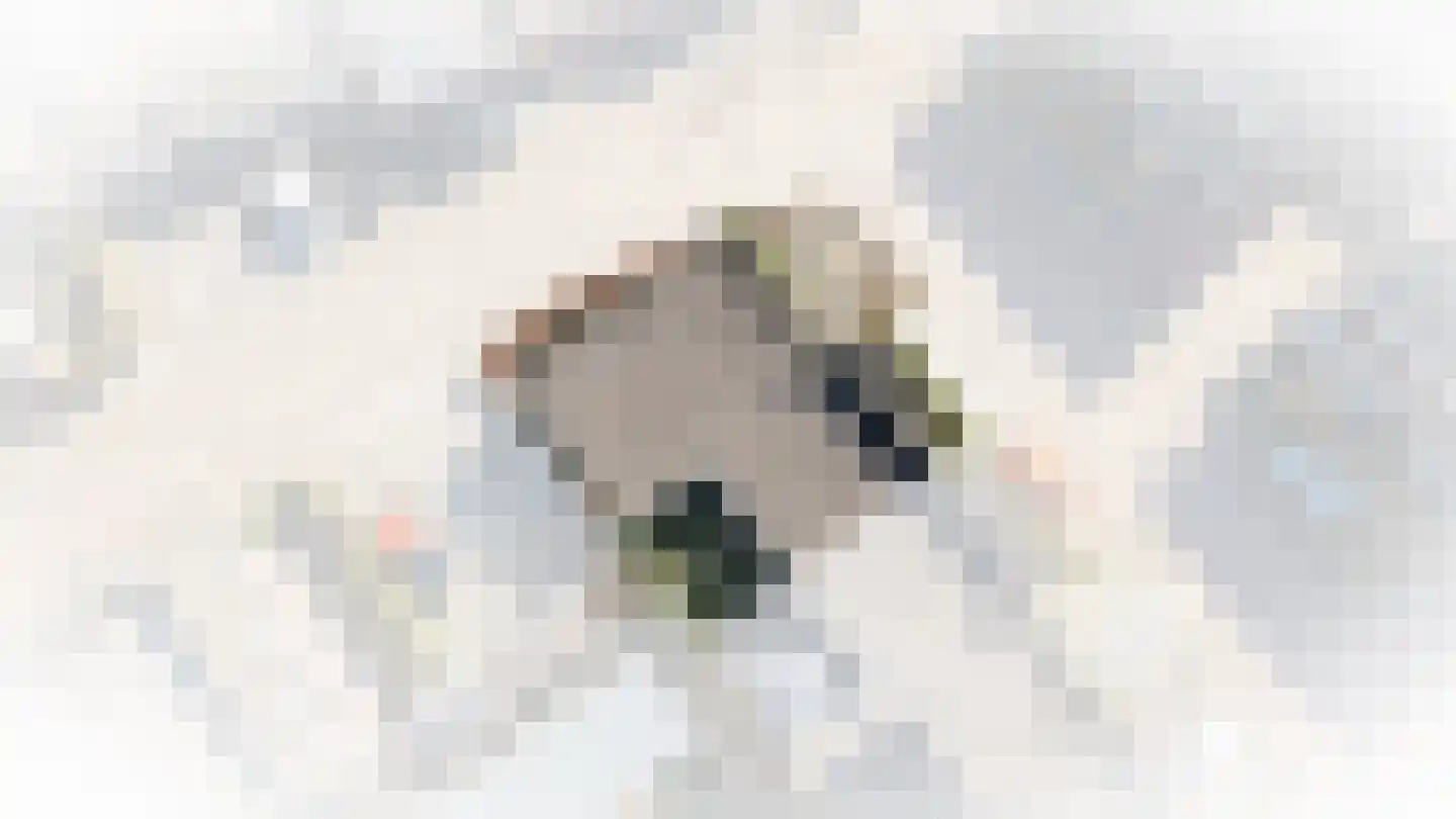 Emailleplein 29 Ulft thumbnail 59