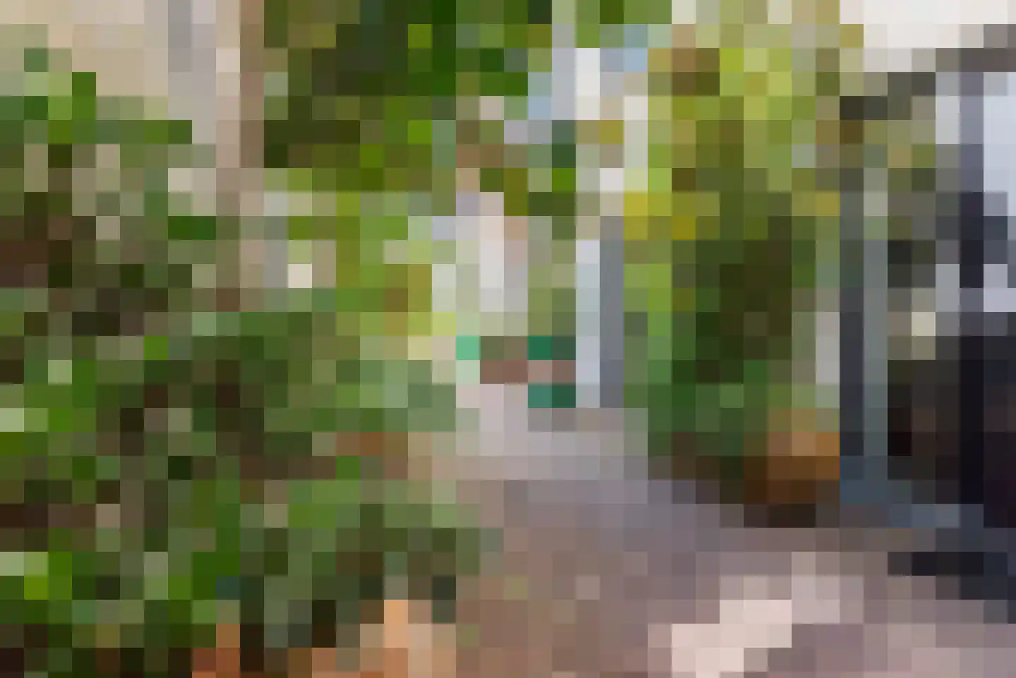 Emailleplein 29 Ulft thumbnail 8