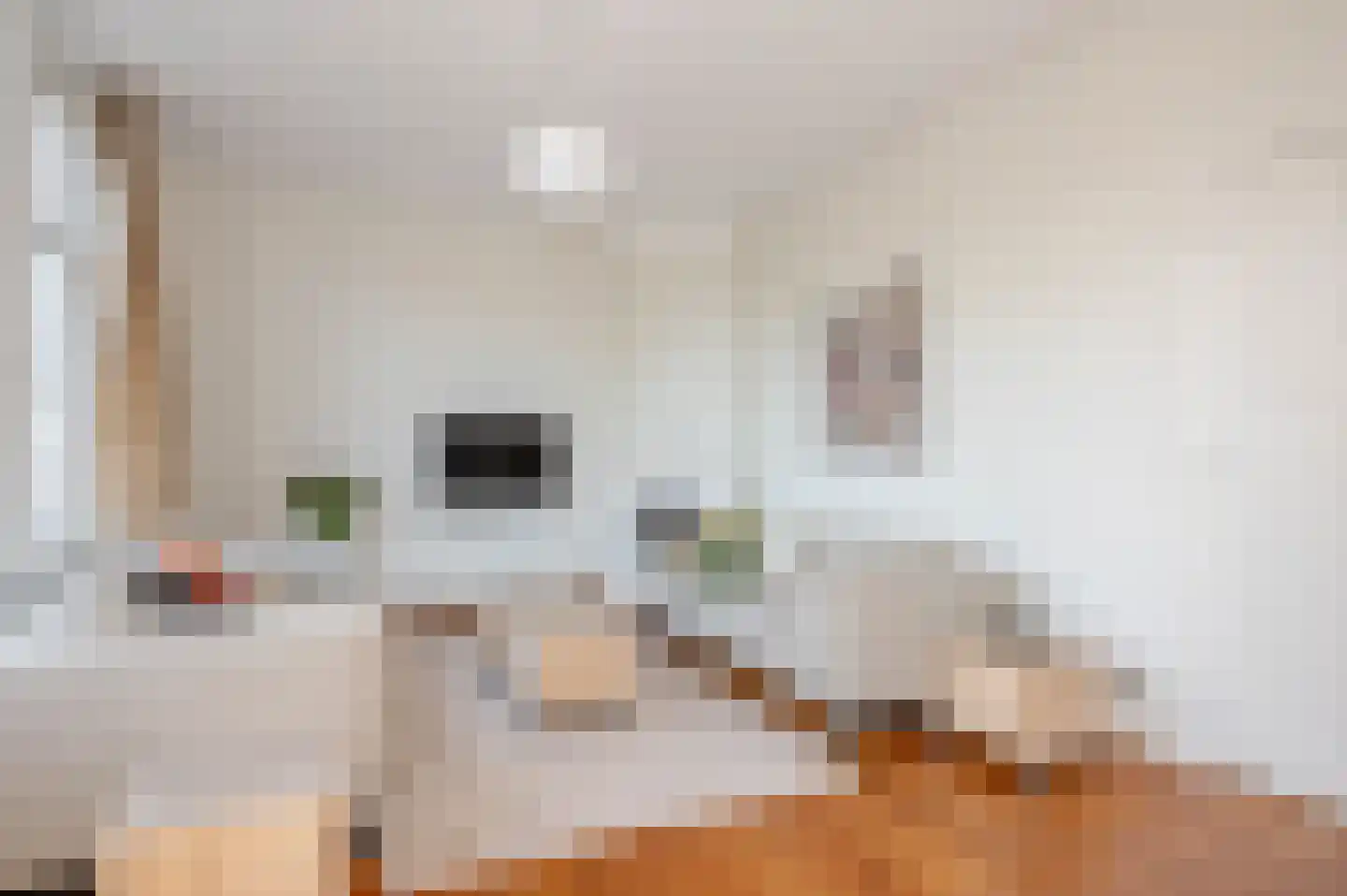 Emantsstraat 3 Den Haag thumbnail 17