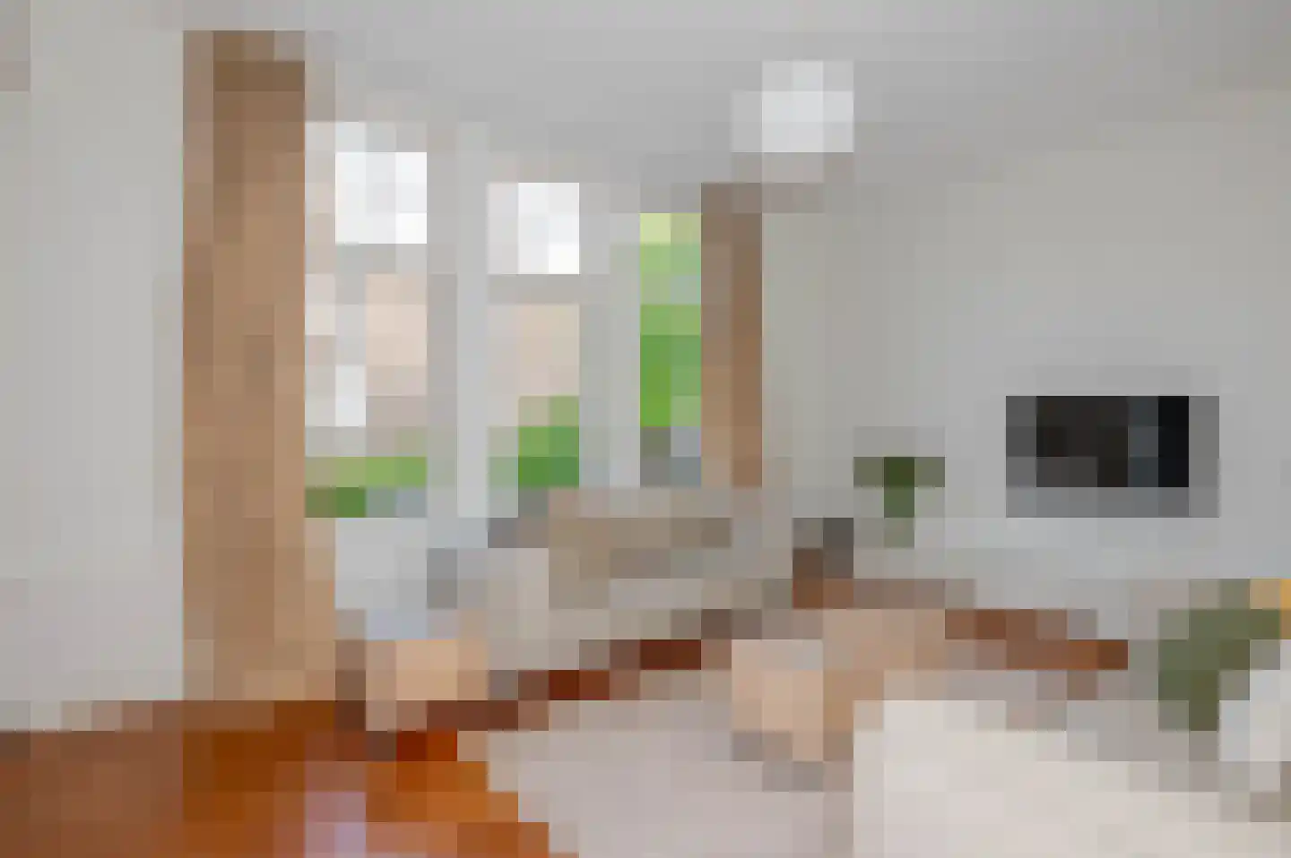 Emantsstraat 3 Den Haag thumbnail 18