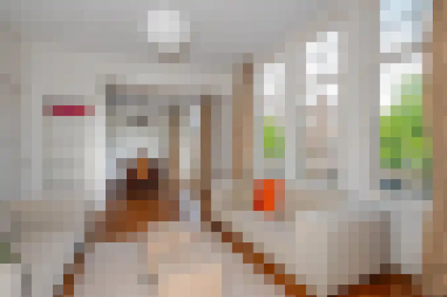 Emantsstraat 3 Den Haag thumbnail 19