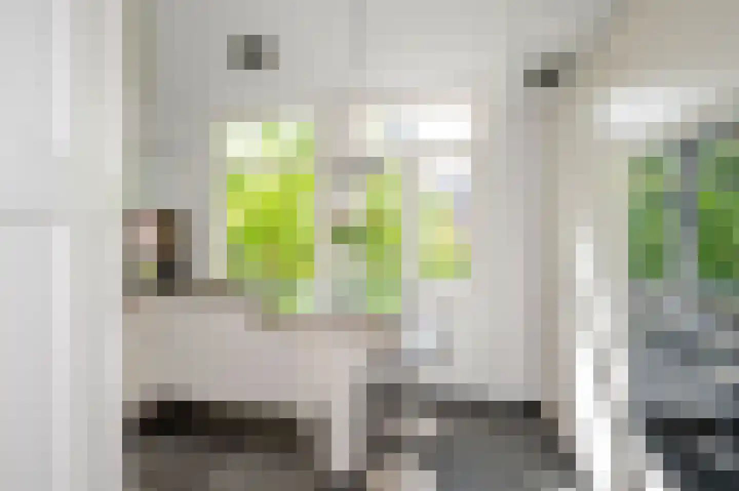 Emantsstraat 3 Den Haag thumbnail 21