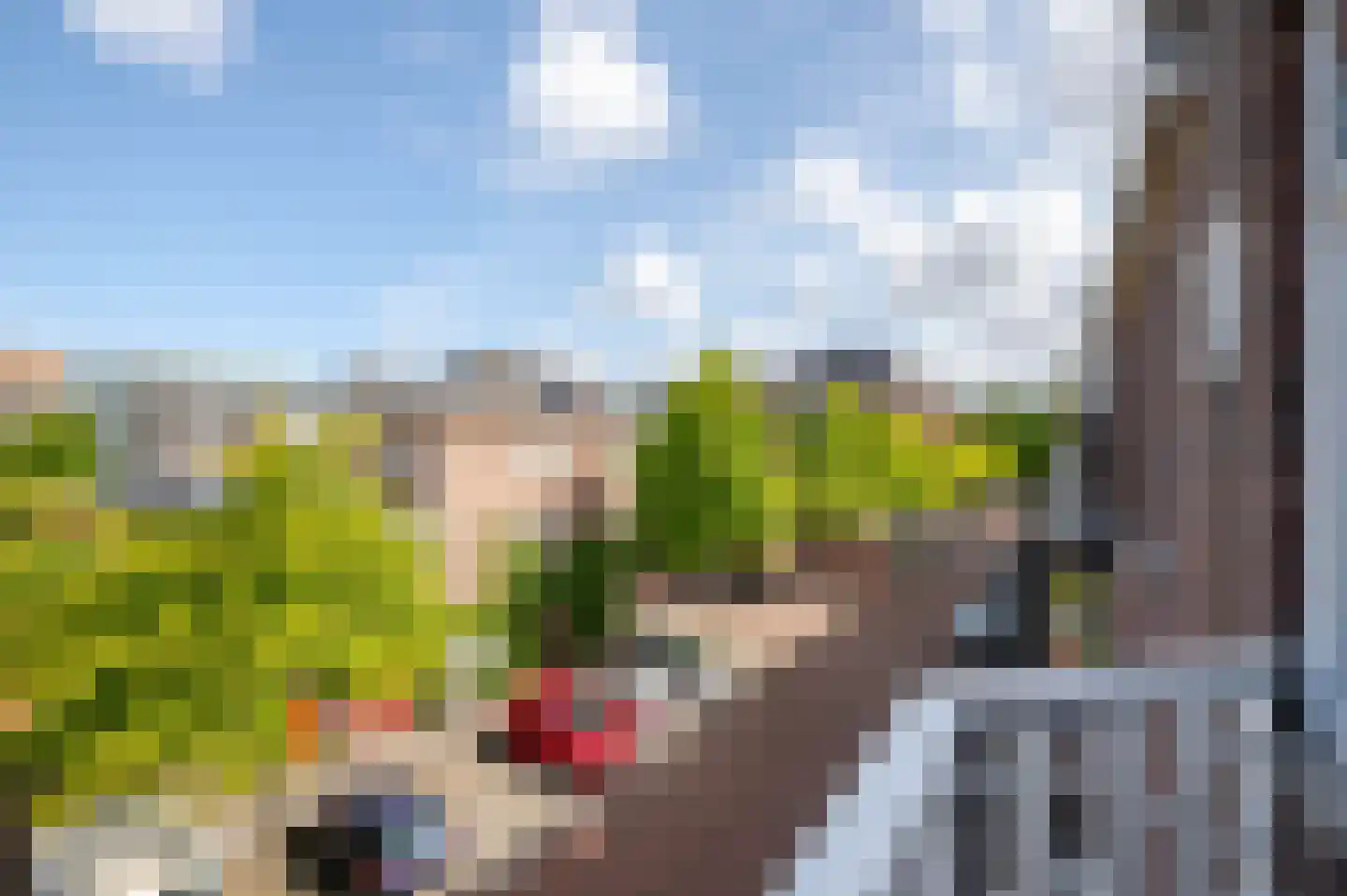 Emantsstraat 3 Den Haag thumbnail 33