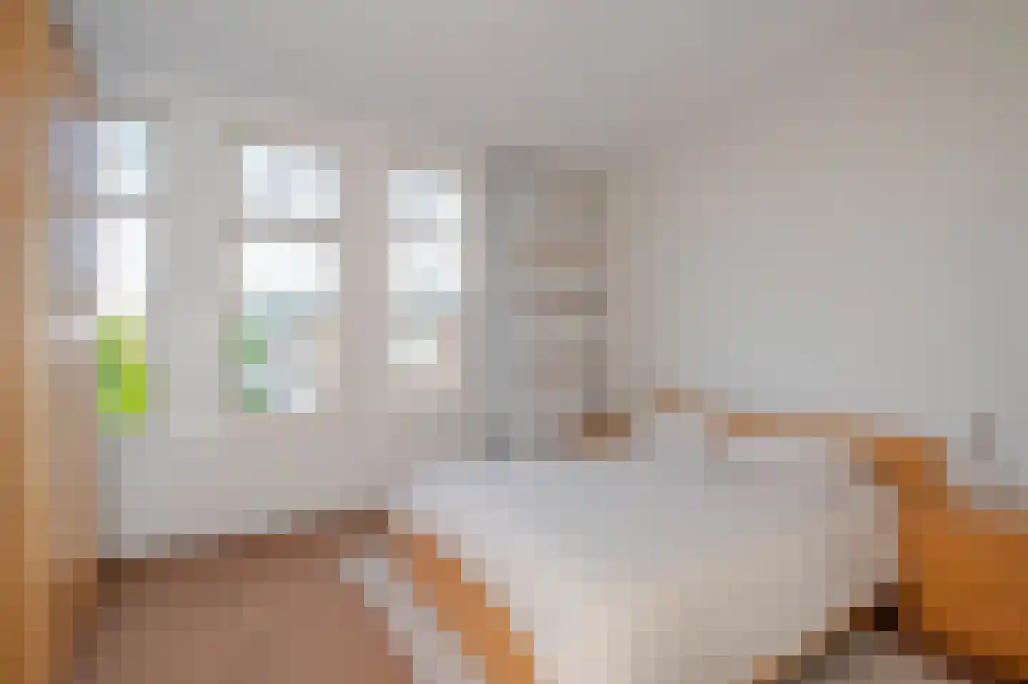 Emantsstraat 3 Den Haag thumbnail 37