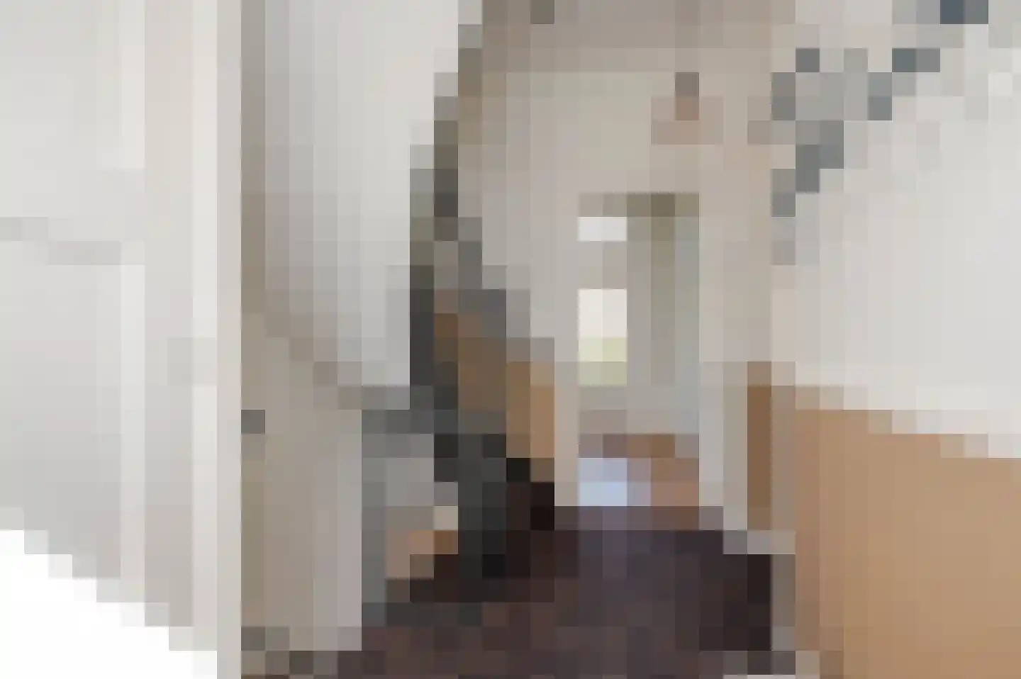 Emantsstraat 3 Den Haag thumbnail 6