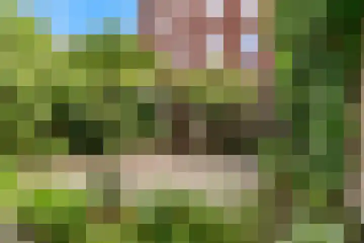 Emantsstraat 6 Den Haag thumbnail 9