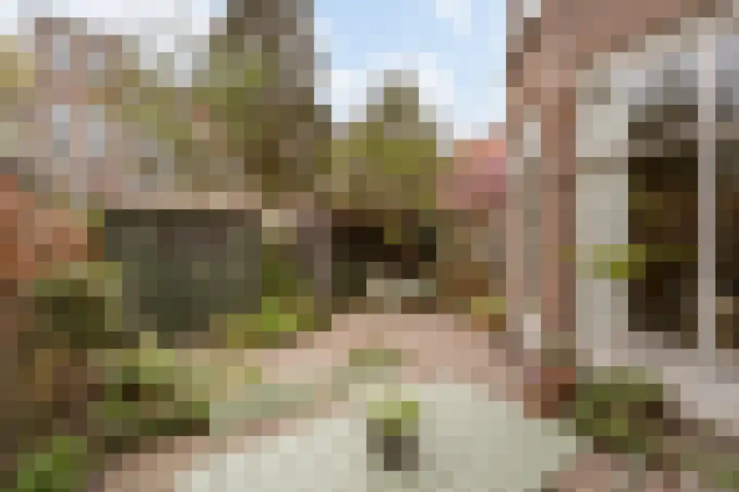 Emantsstraat 7 A Den Haag thumbnail 19