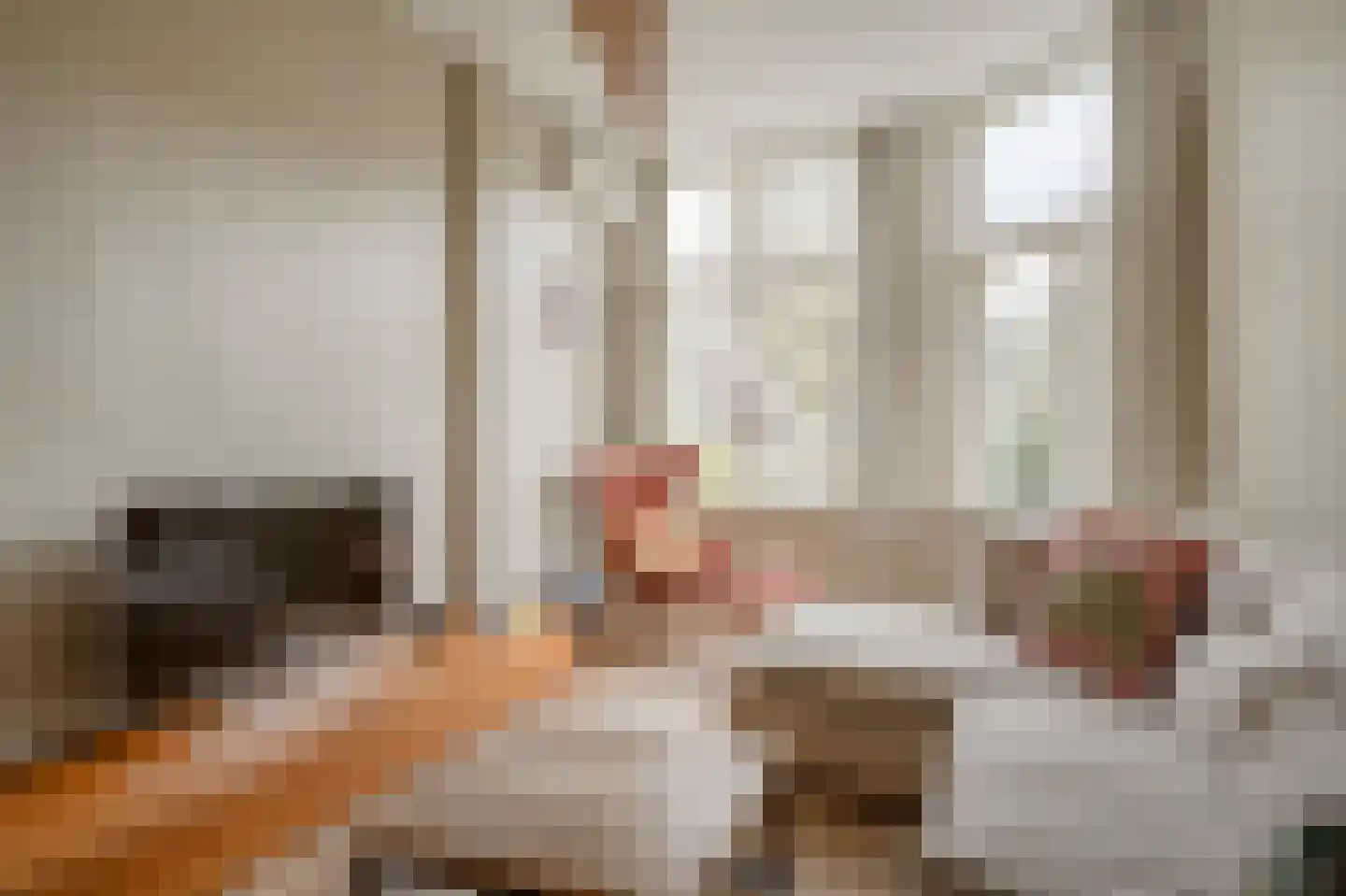 Emantsstraat 7 A Den Haag thumbnail 25