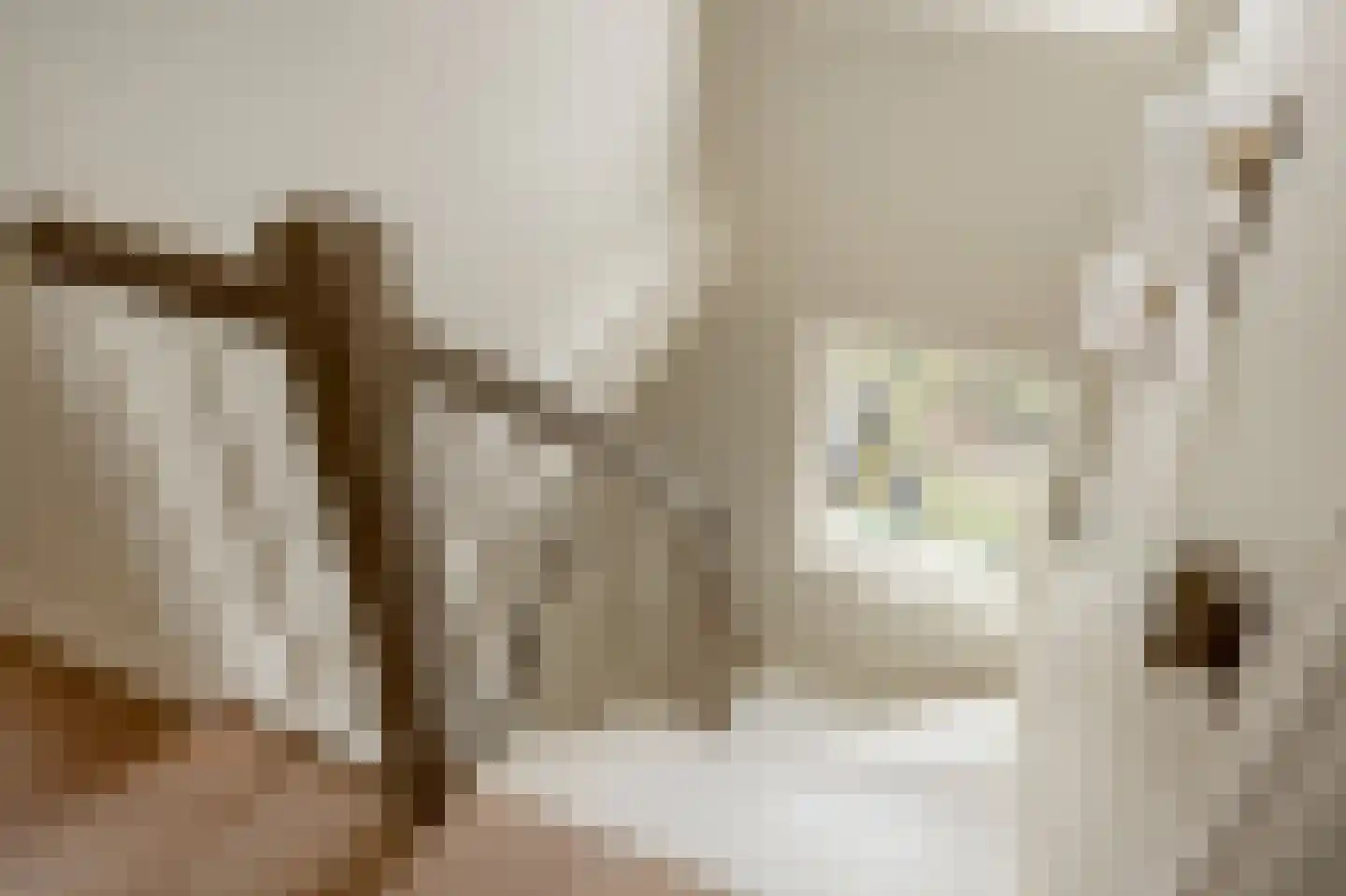 Emantsstraat 7 A Den Haag thumbnail 33