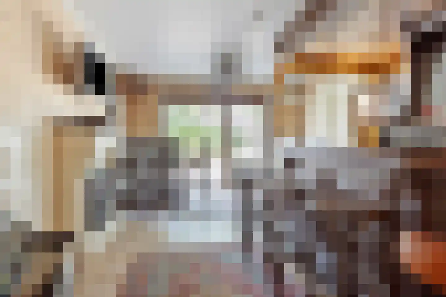 Emanuel van der Venstraat 1 A Rosmalen thumbnail 13