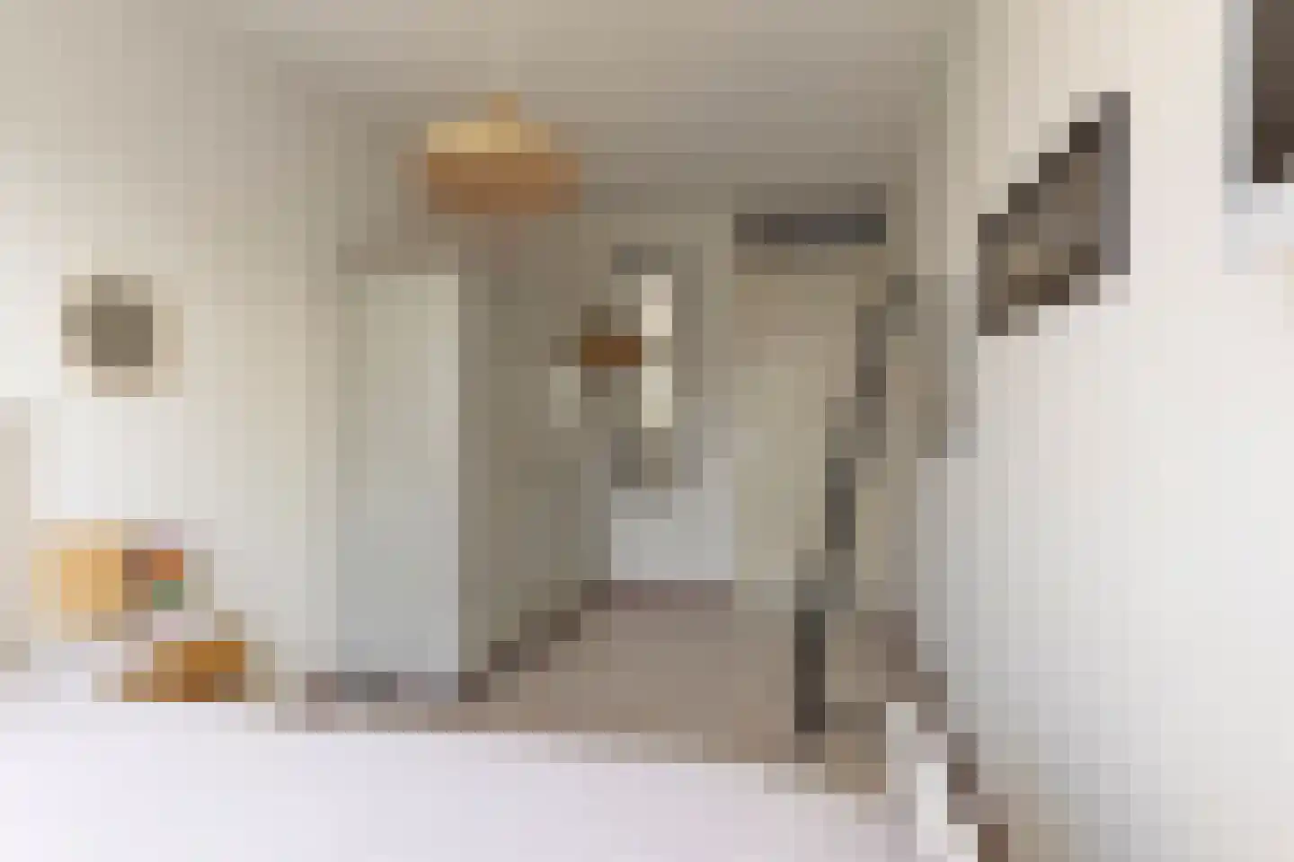 Emanuel van der Venstraat 1 A Rosmalen thumbnail 21