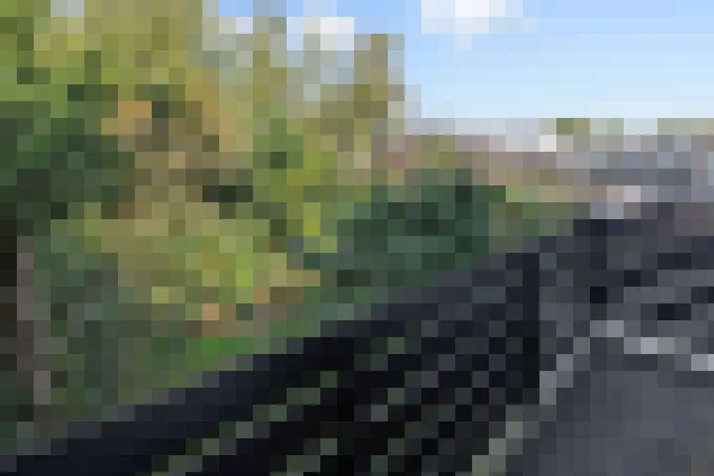Emanuel van der Venstraat 10 Rosmalen thumbnail 22