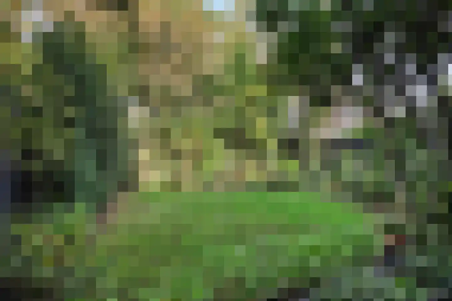 Emanuel van der Venstraat 10 Rosmalen thumbnail 26