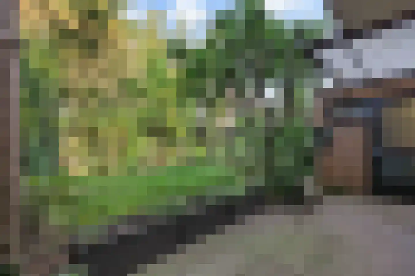 Emanuel van der Venstraat 10 Rosmalen thumbnail 4