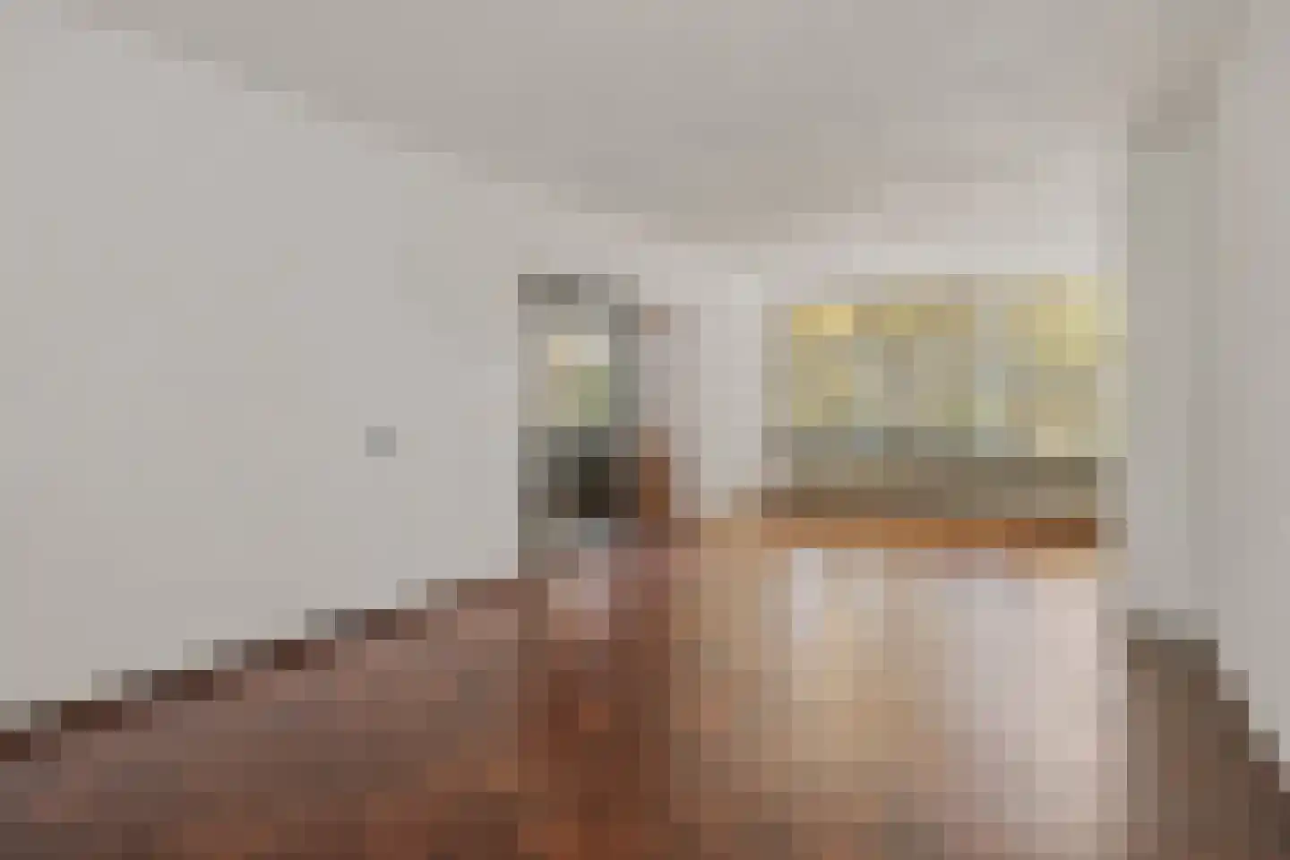 Emanuel van der Venstraat 10 Rosmalen thumbnail 8