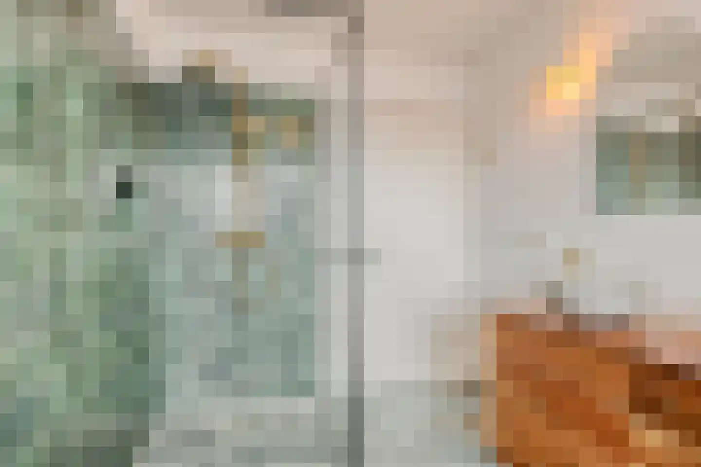 Emanuel van der Venstraat 8 Rosmalen thumbnail 25