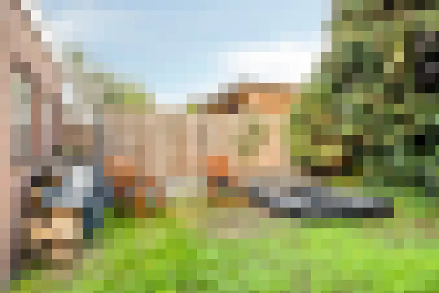 Emanuel van der Venstraat 8 Rosmalen thumbnail 34