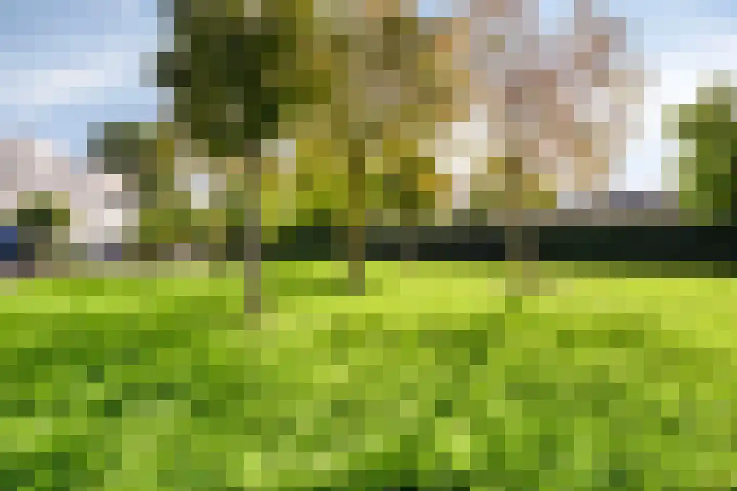 Emanuel van der Venstraat 8 Rosmalen thumbnail 43