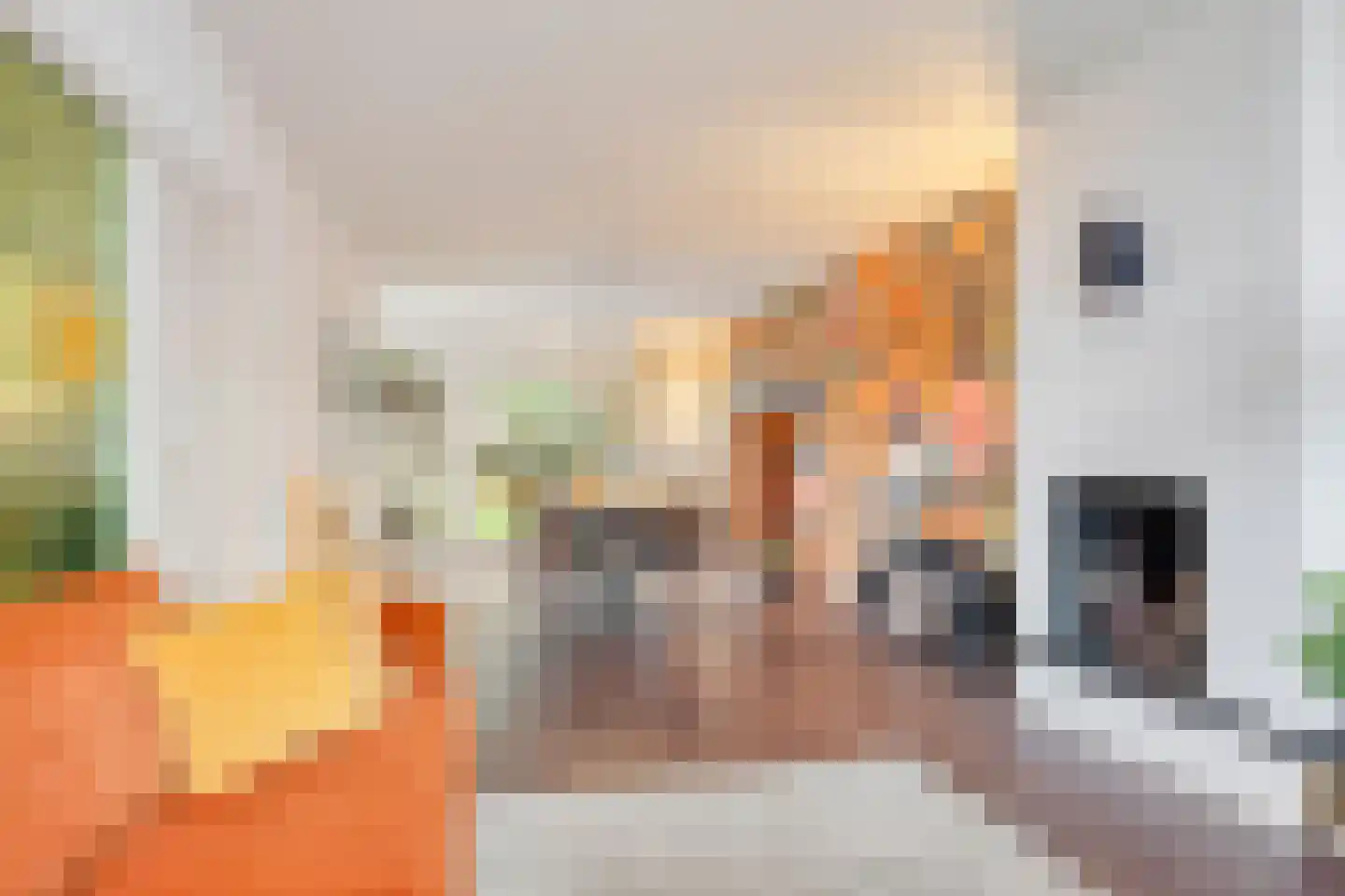 Emanuel van der Venstraat 8 Rosmalen thumbnail 7