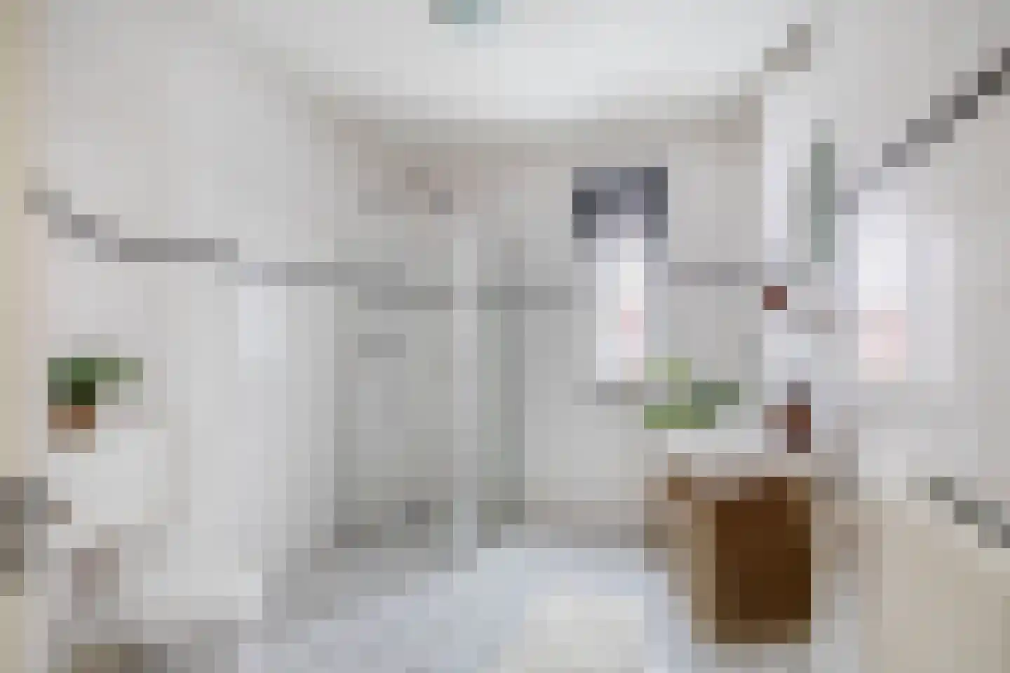 Emanzana 3 Amsterdam thumbnail 24