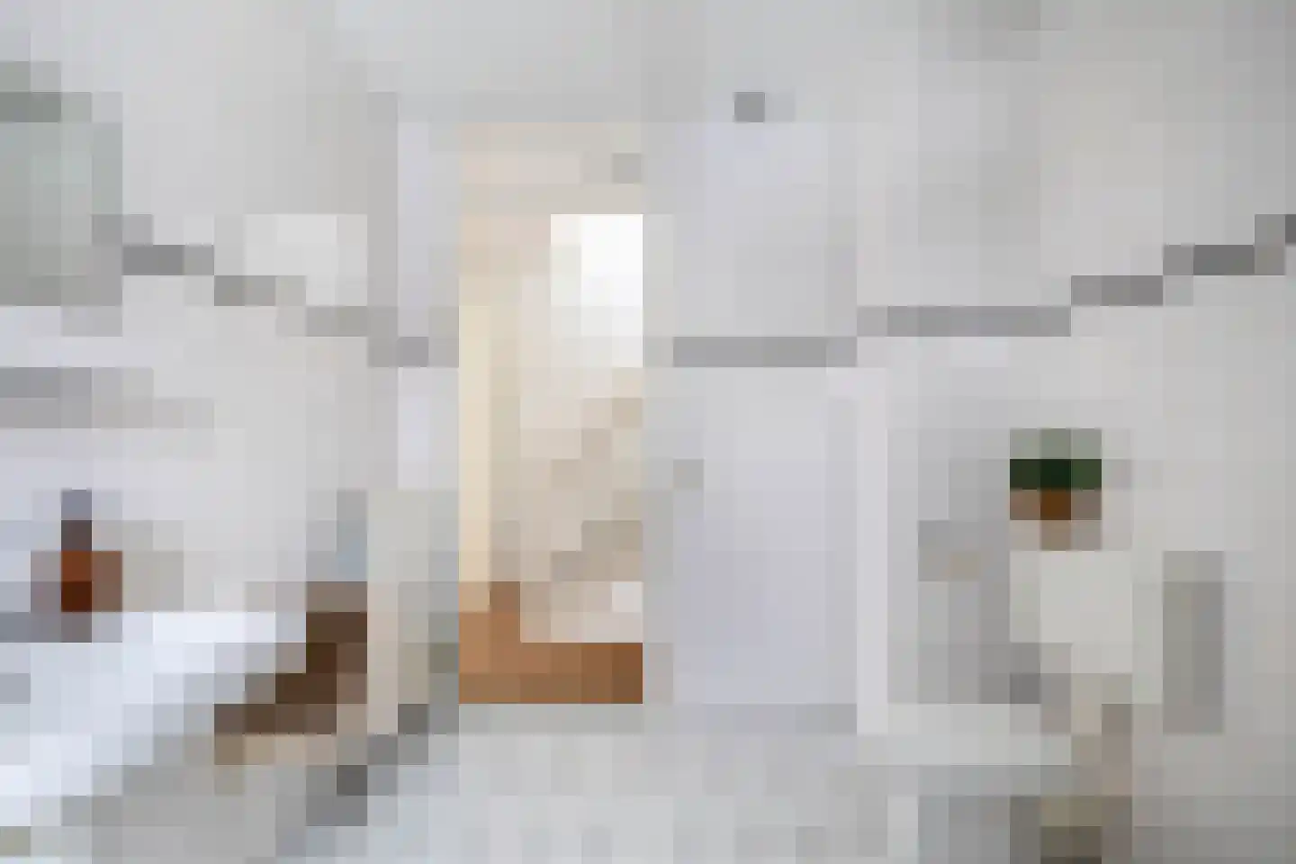 Emanzana 3 Amsterdam thumbnail 26