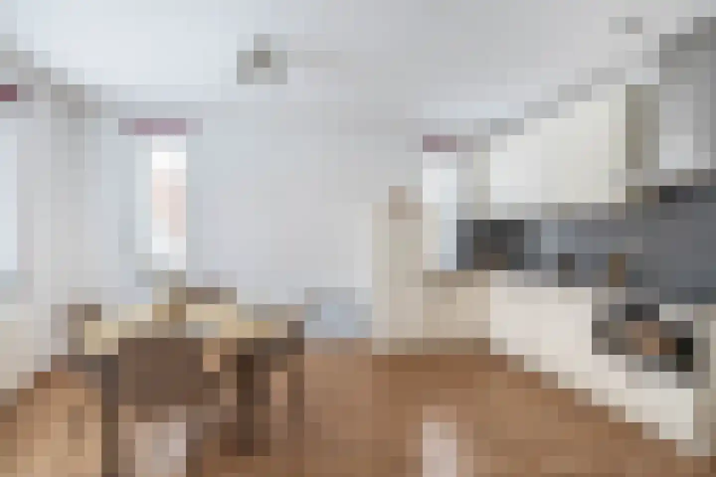 Emanzana 3 Amsterdam thumbnail 6