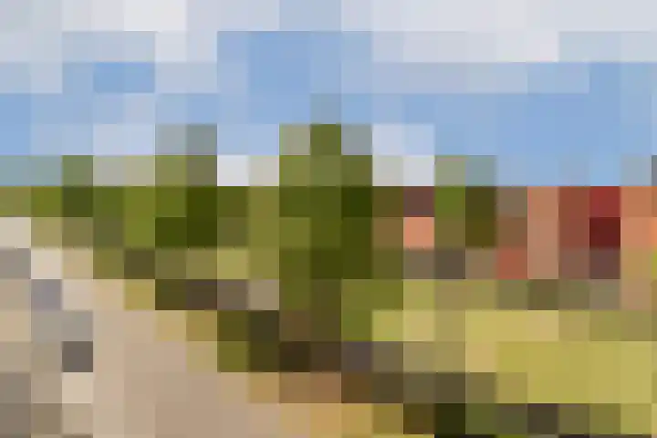 Emanzana 5 Amsterdam thumbnail 30