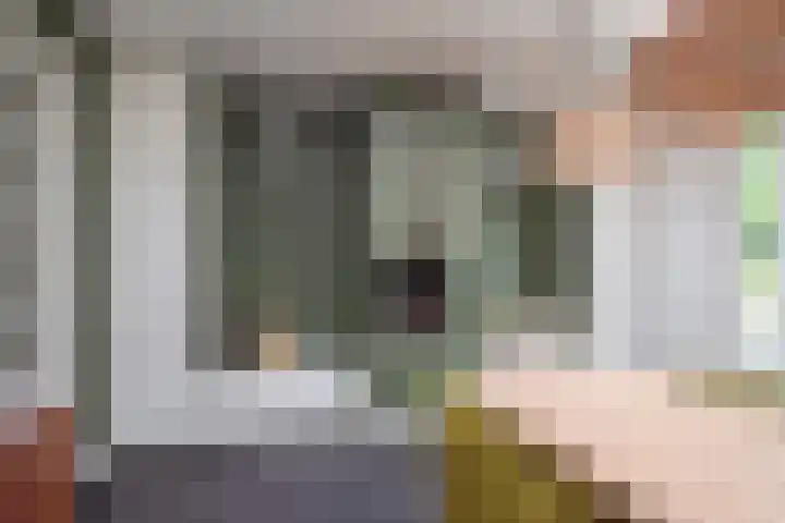 Emauslaan 1 Haarlem thumbnail 14