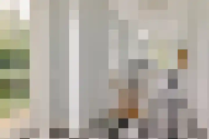 Emauslaan 1 Haarlem thumbnail 16