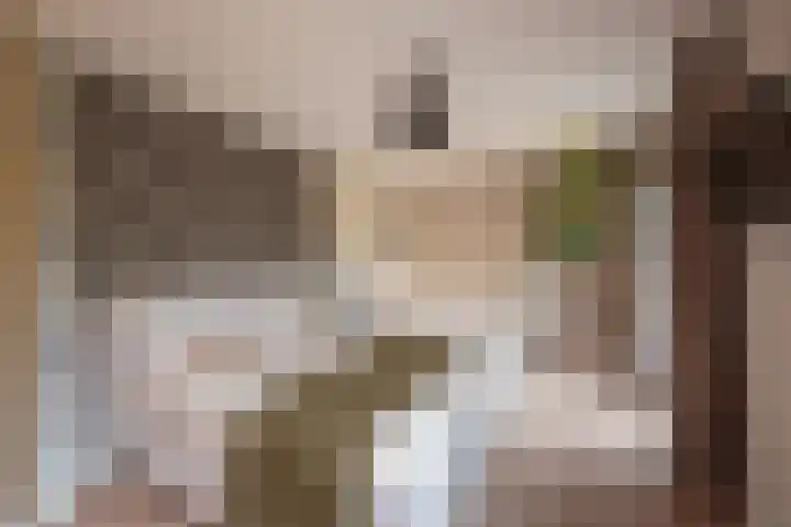 Emauslaan 1 Haarlem thumbnail 21