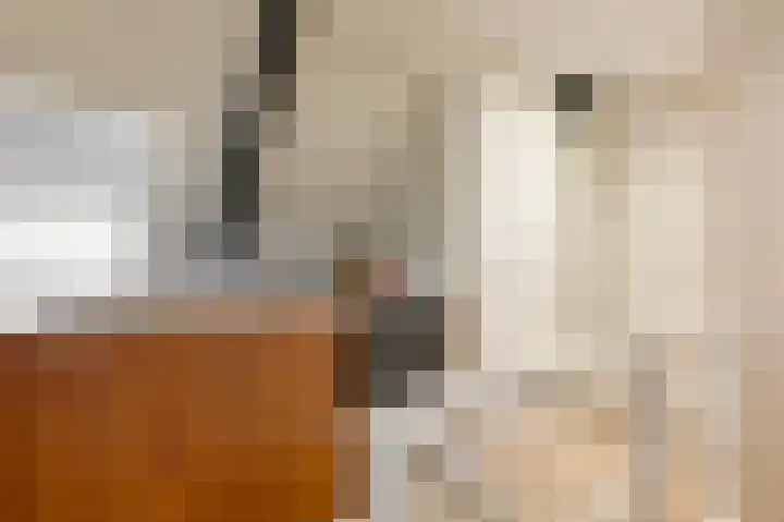 Emauslaan 1 Haarlem thumbnail 31