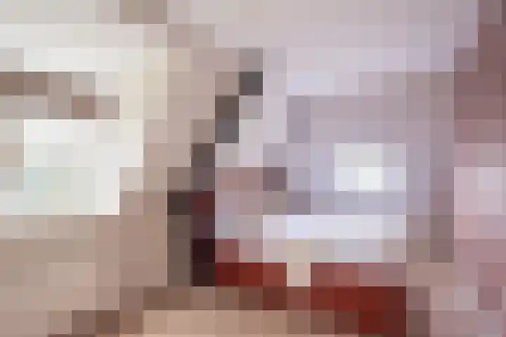 Emauslaan 1 Haarlem thumbnail 35