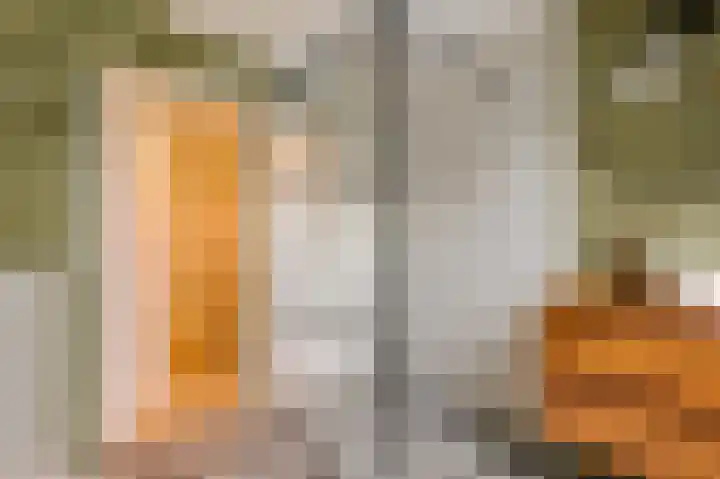 Emauslaan 1 Haarlem thumbnail 37