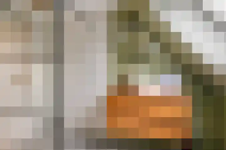 Emauslaan 1 Haarlem thumbnail 38
