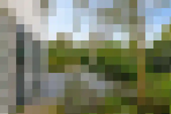 Emauslaan 1 Haarlem thumbnail 46
