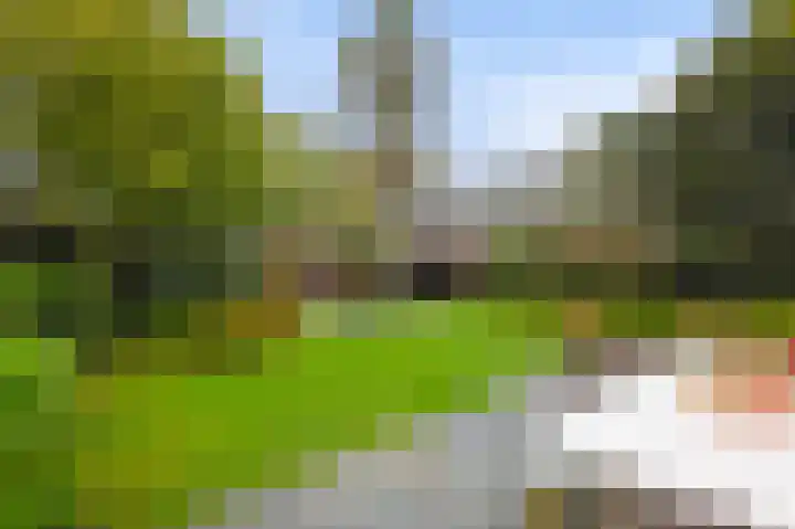 Emauslaan 1 Haarlem thumbnail 51