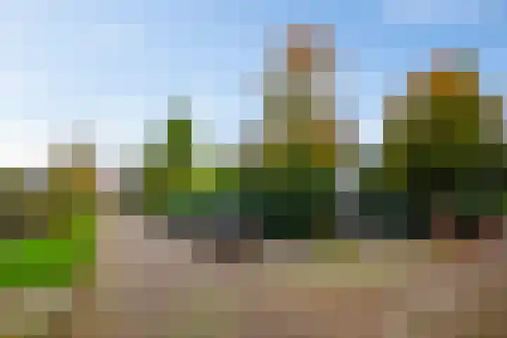 Emauslaan 1 Haarlem thumbnail 53
