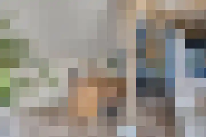 Emausweg 1 Rekken thumbnail 14
