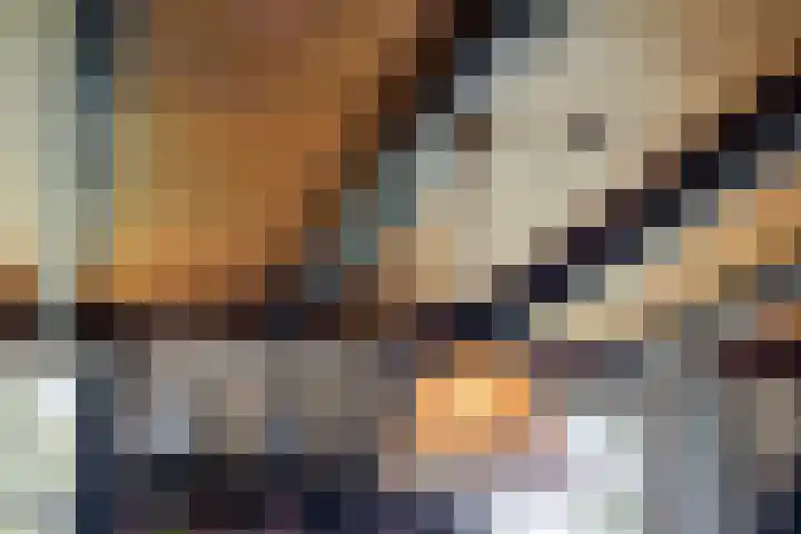 Emausweg 1 Rekken thumbnail 28