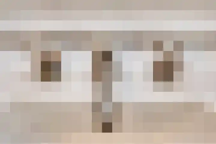 Emausweg 1 Rekken thumbnail 38