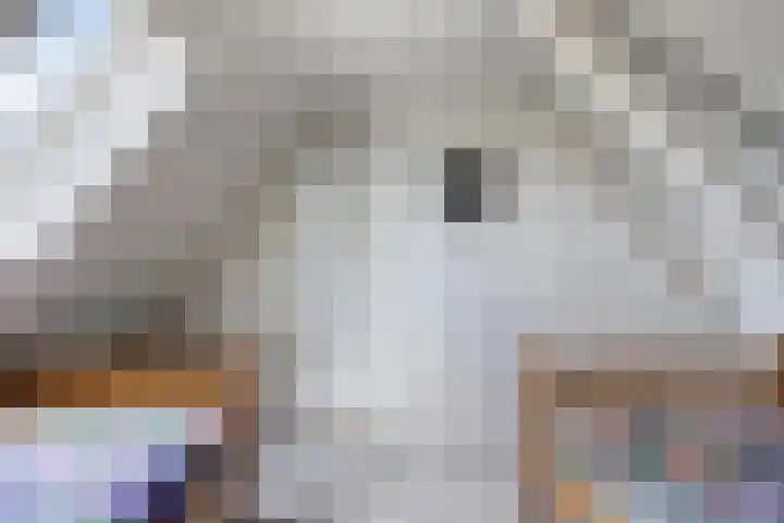 Emausweg 1 Rekken thumbnail 42