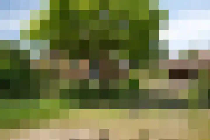 Emausweg 1 Rekken thumbnail 47