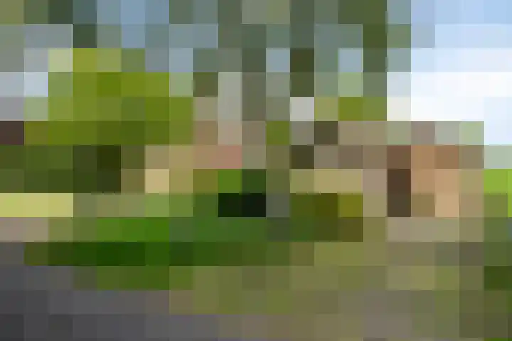 Emausweg 1 Rekken thumbnail 49