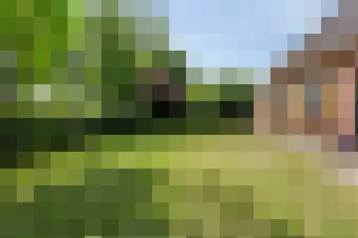 Emausweg 1 Rekken thumbnail 52
