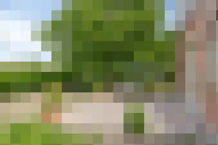 Emausweg 1 Rekken thumbnail 55
