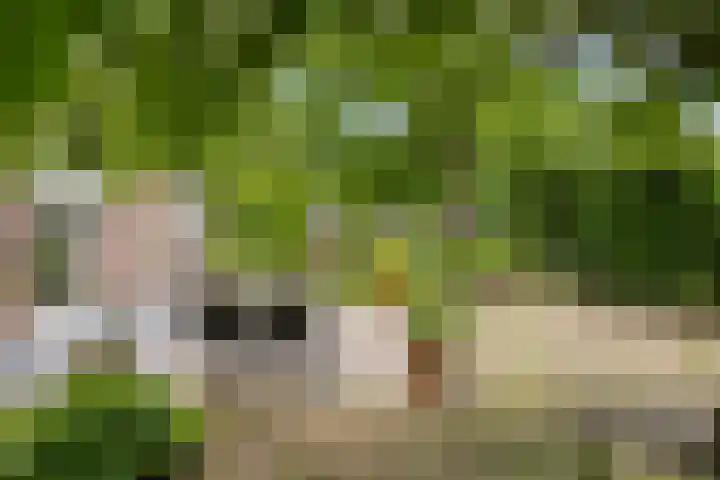 Emausweg 1 Rekken thumbnail 56